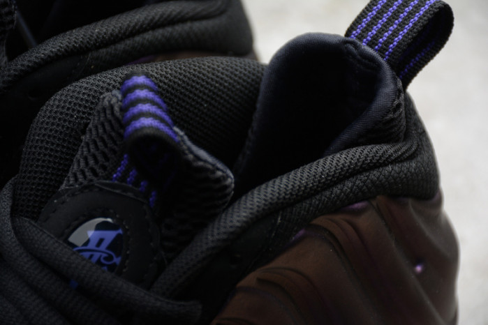 air foamposite one eggplant 314996-008