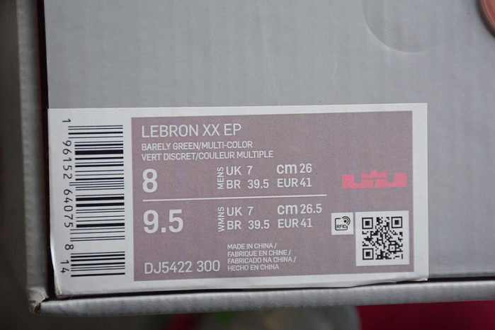 nike lebron 20 violet frost dj5422-300