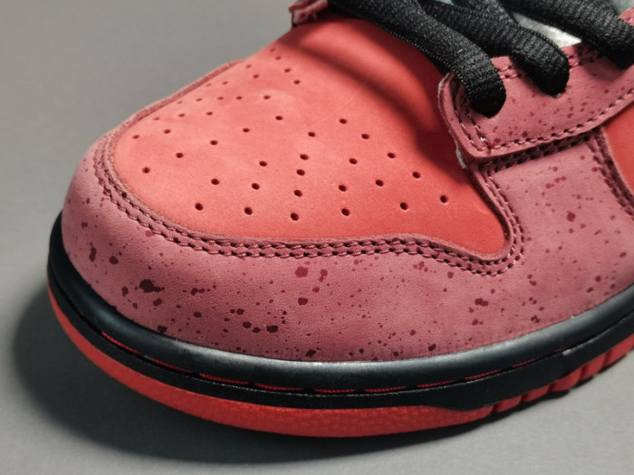concepts x nk dunk low pro sb“red lobster” 313170-661