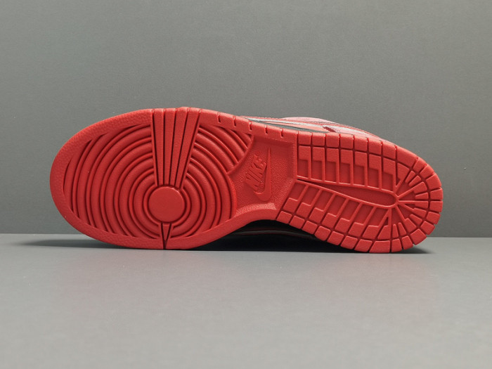 concepts x nk dunk low pro sb“red lobster” 313170-661