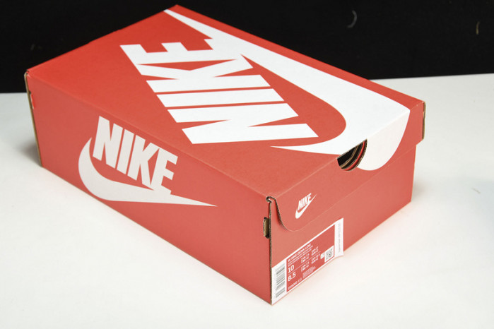 nike dunk low brown basalt (gs) dx6060-111