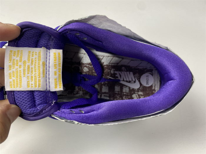 nike dunk low flip the old school dj4636-100