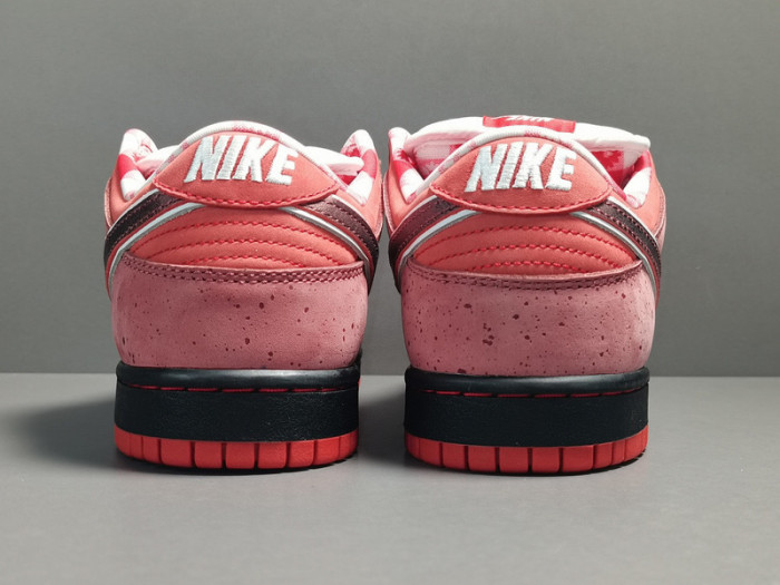 concepts x nk dunk low pro sb“red lobster” 313170-661