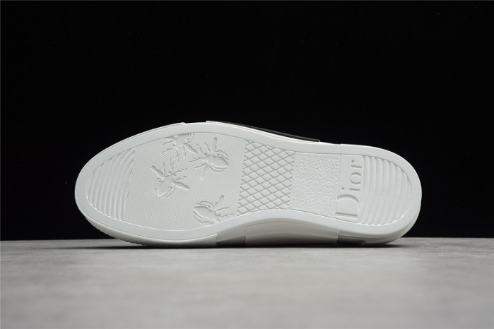 d10r b23 low top logo oblique sneakers