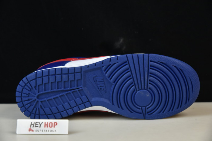 nike dunk low usa (w) dd1503-119